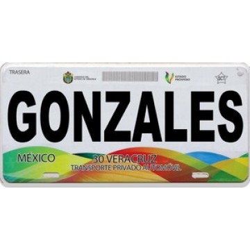 Mexico Veracruz Photo License Plate 