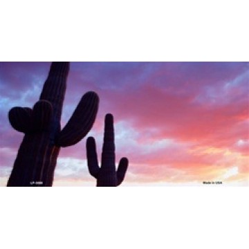 Sunset Saguaro Cactus Metal License Plate 
