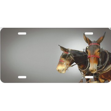 Two Donkeys License Plate 