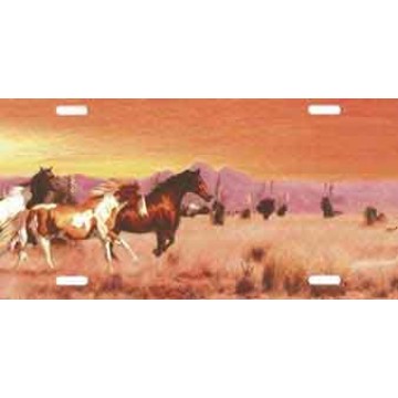 Horses Running Prairie License Plate 