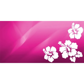 Pink Hibiscus Flower Photo License Plate 