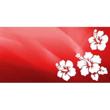 Red Hibiscus Flower Photo License Plate 