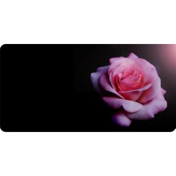 Pink Rose Offset Photo License Plate 