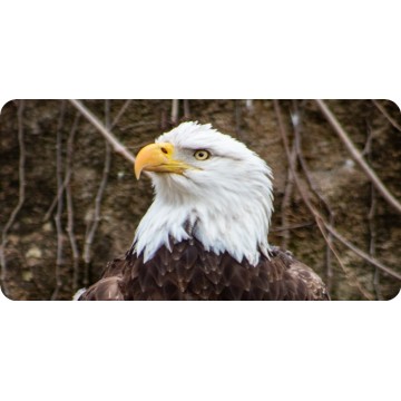 Eagle Centered Woodlands Photo License Plate