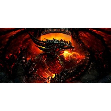 Flame Dragon Photo License Plate 