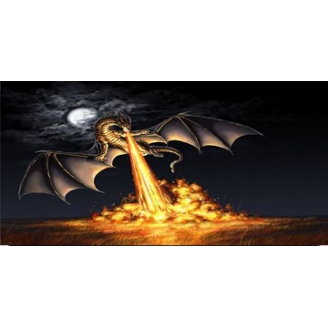 Dragon Black Photo License Plate 