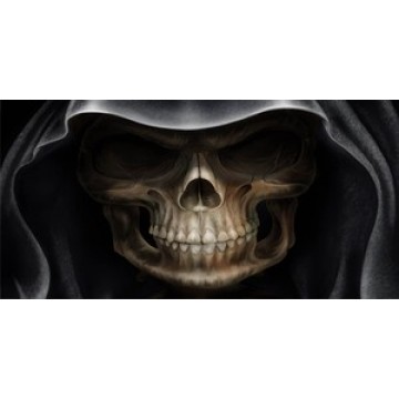 Skull With Hoodie Photo License Plate