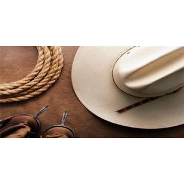 Hat, Rope and Spurs Photo License Plate 