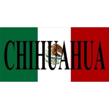 Mexico Chihuahua Photo License Plate