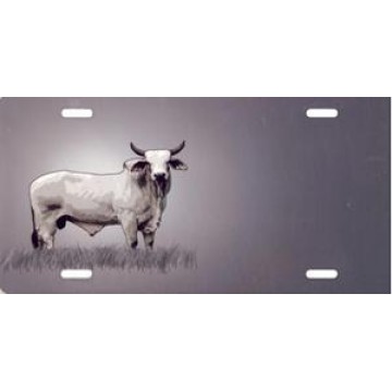Offset Cow Bull License Plate 