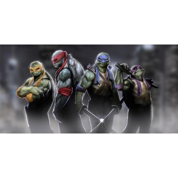 Teenage Mutant Ninja Turtles Photo License Plate 