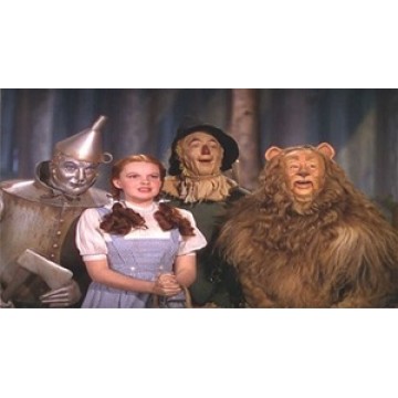 Wizard Of Oz Characters Photo License Plate