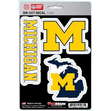 Michigan Wolverines Team Decal Set