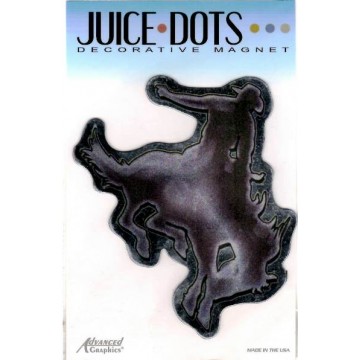 Bronco Chrome Magnet