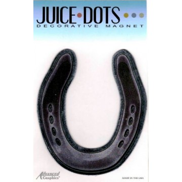 Horseshoe Chrome Magnet