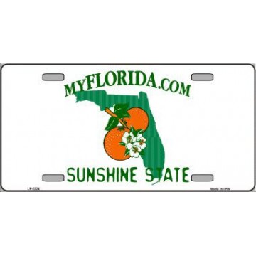 MyFlorida.com Florida Sunshine State License Plate 