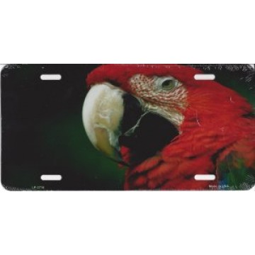Red Macaw Metal License Plate
