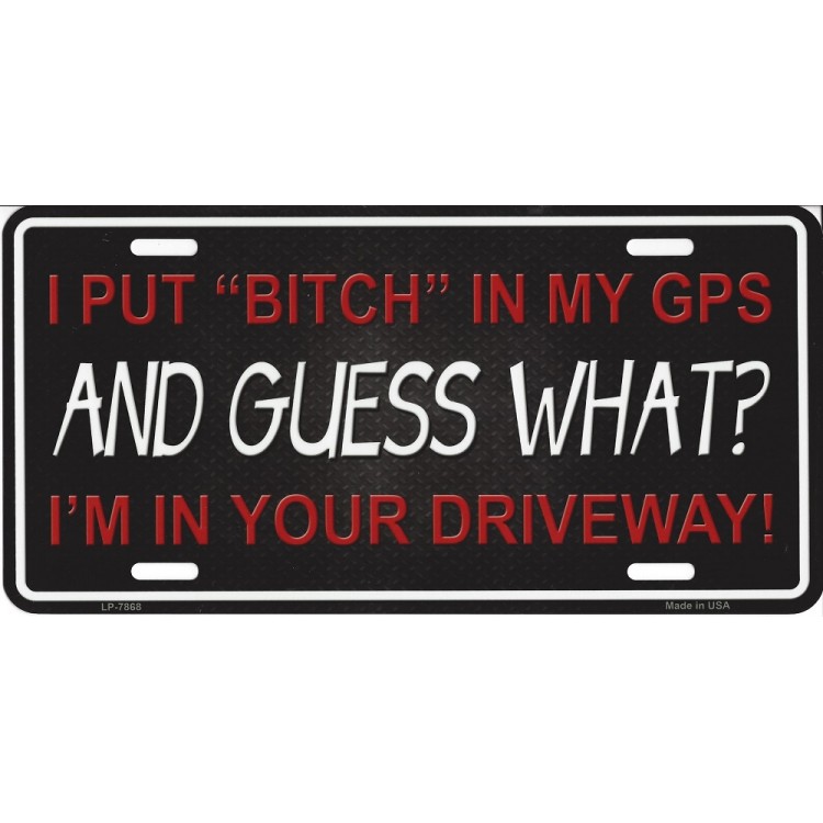 I Put Bitch In My GPS And Guess What Metal License Plate
