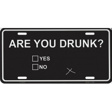 Are You Drunk Metal License Plate