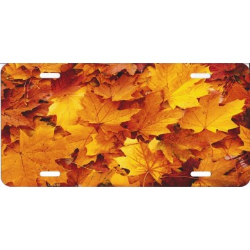 Fall Leaves Metal License Plate