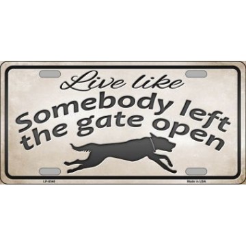 Gate Open ... Metal License Plate
