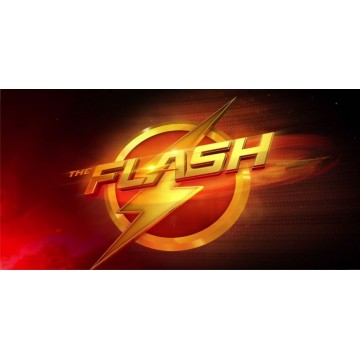 The Flash Photo License plate