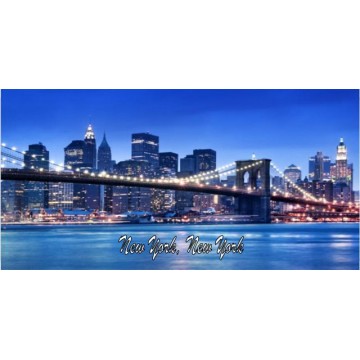 New York, New York Photo License Plate