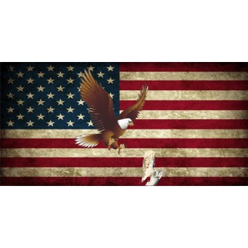 U.S. Flag Eagle Landing Photo License Plate