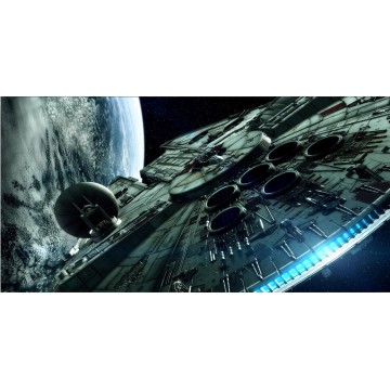 Millennium Falcon Photo License Plate
