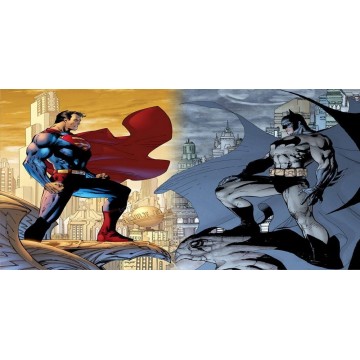 Superman VS. Batman Photo License Plate