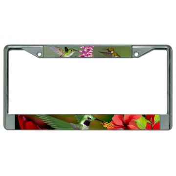 Hummingbirds Chrome License Plate Frame