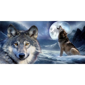 Wolf Mountain Scene Photo license Plate