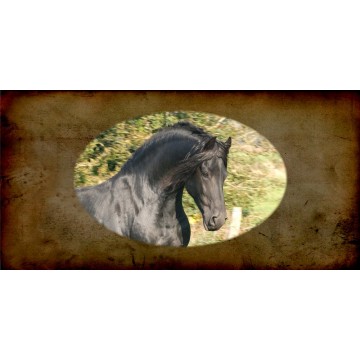 Friesian Horse Photo License Plate