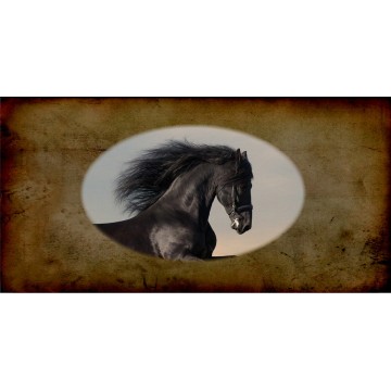 Mustang Horse Photo License Plate