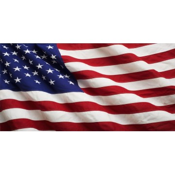 United States Of America Flag Photo License Plate