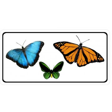 Butterflies Photo License Plate