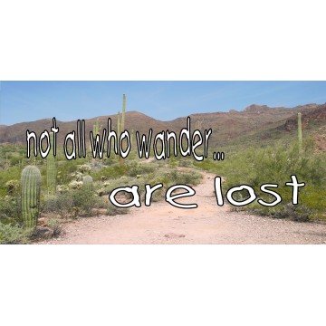 Not All Who Wonder Desert Scene Photo License Plate