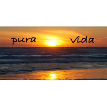 Pura Vida Beach Scene Photo License Plate