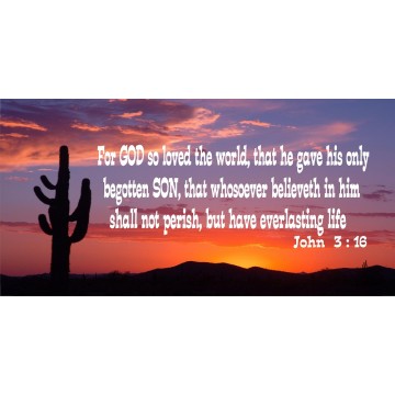 John 3:16 Desert Sunset Photo License Plate