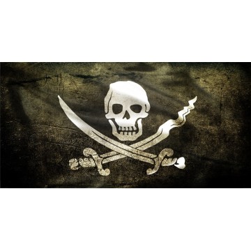 Jolly Roger Skull And Crossbones Photo License Plate