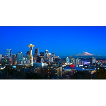 Seattle Skyline Photo License Plate