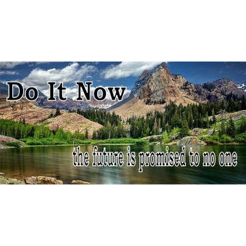 Do It Now The Future Is Promised To No One Photo License Plate