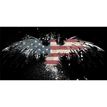 Fireworks Eagle With United States Flag Photo License Plate