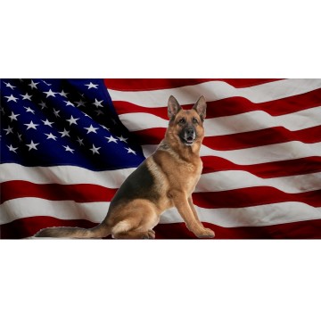 German Shepherd Dog On United States Flag Photo License Plate