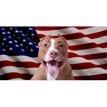 Red Pitbull Dog On United States Flag Photo License Plate