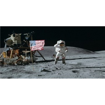 Moon Landing Photo License Plate