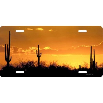 Sunset Saguaro Cactus Photo License Plate