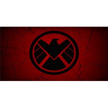 Falcon Logo Photo License Plate