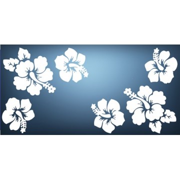 Hibiscus Flowers Photo License Plate