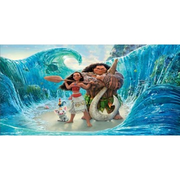 Moana And Maui Photo License Plate